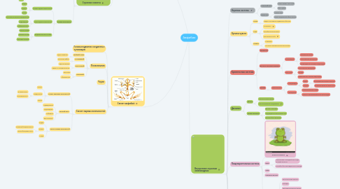 Mind Map: Амфибии