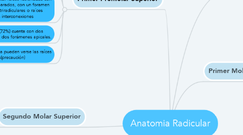 Mind Map: Anatomia Radicular