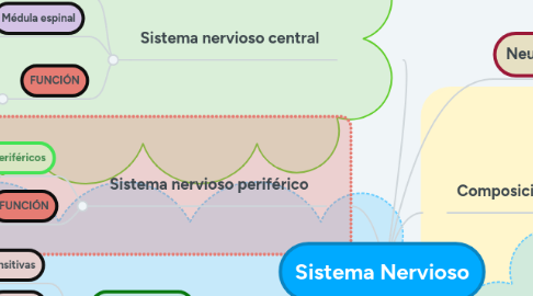 Mind Map: Sistema Nervioso