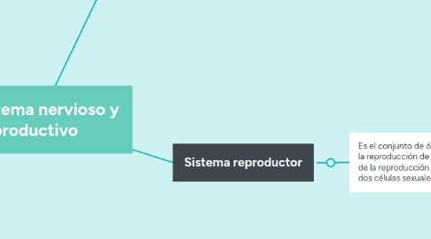 Mind Map: Mi sistema nervioso y productivo