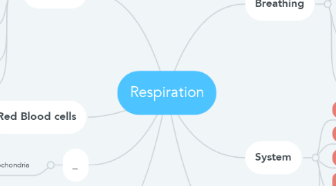 Mind Map: Respiration