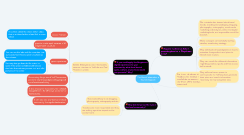 Mind Map: The Use of Internet as a Tourism Support