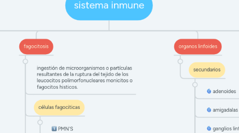 Mind Map: sistema inmune