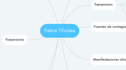 Mind Map: Fiebre Tifoidea