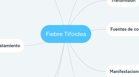 Mind Map: Fiebre Tifoidea