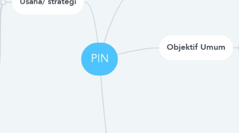 Mind Map: PIN