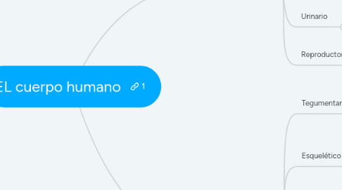 Mind Map: EL cuerpo humano