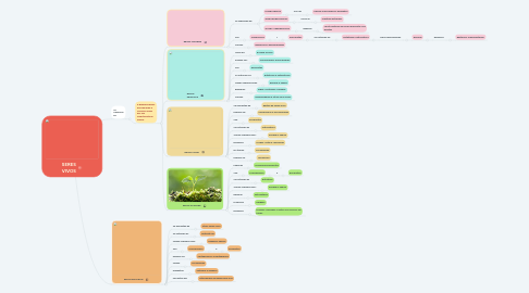 Mind Map: SERES VIVOS