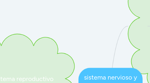 Mind Map: sistema nervioso y reproductivo.