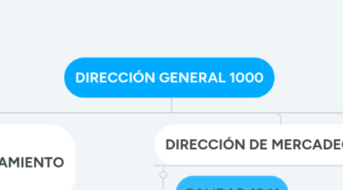 Mind Map: DIRECCIÓN GENERAL 1000