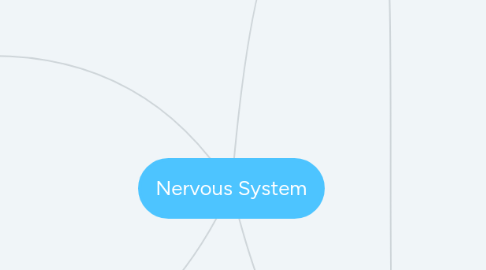 Mind Map: Nervous System