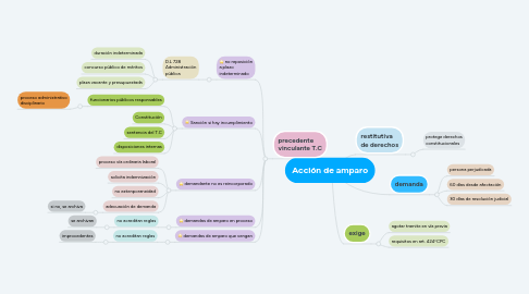 Mind Map: Acción de amparo