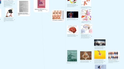 Mind Map: Telômeros, Estresse e a sua Vida