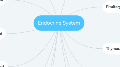 Mind Map: Endocrine System