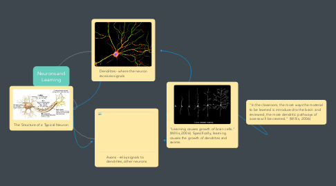 Mind Map: Neurons and Learning