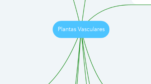 Mind Map: Plantas Vasculares
