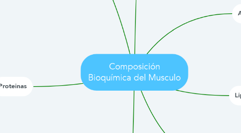 Mind Map: Composición Bioquímica del Musculo