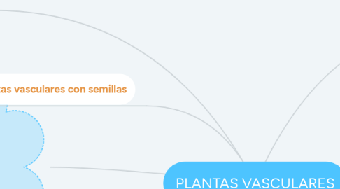 Mind Map: PLANTAS VASCULARES