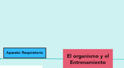 Mind Map: El organismo y el Entrenamiento