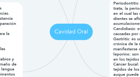 Mind Map: Cavidad Oral