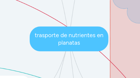 Mind Map: trasporte de nutrientes en planatas