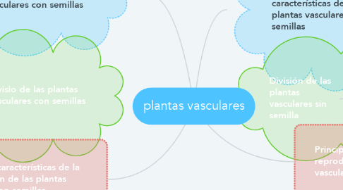 Mind Map: plantas vasculares