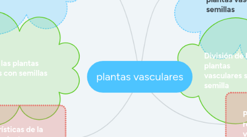 Mind Map: plantas vasculares