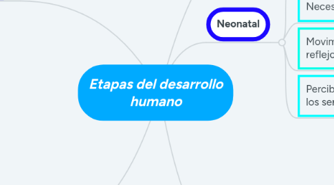 Mind Map: Etapas del desarrollo humano