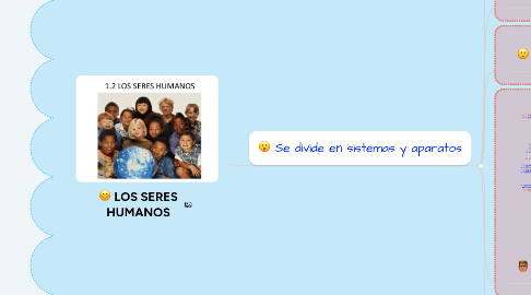 Mind Map: LOS SERES HUMANOS