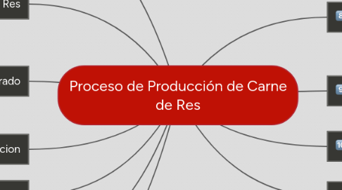 Mind Map: Proceso de Producción de Carne de Res