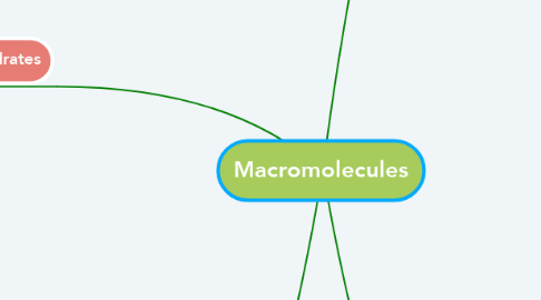 Mind Map: Macromolecules
