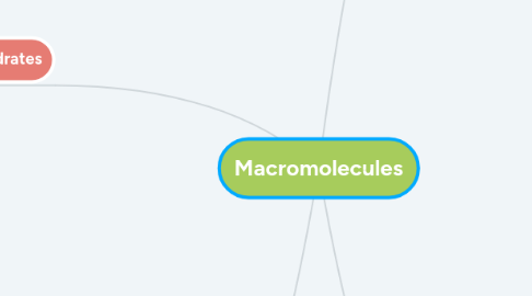 Mind Map: Macromolecules