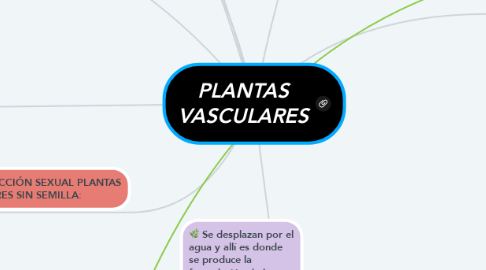 Mind Map: PLANTAS VASCULARES