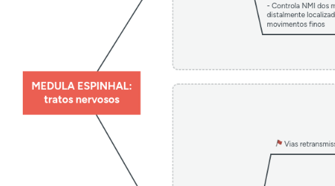 Mind Map: MEDULA ESPINHAL: tratos nervosos