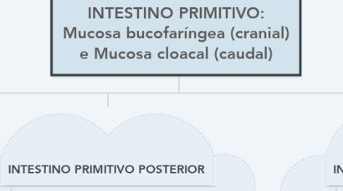 Mind Map: INTESTINO PRIMITIVO: Mucosa bucofaríngea (cranial) e Mucosa cloacal (caudal)