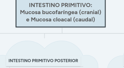 Mind Map: INTESTINO PRIMITIVO: Mucosa bucofaríngea (cranial) e Mucosa cloacal (caudal)