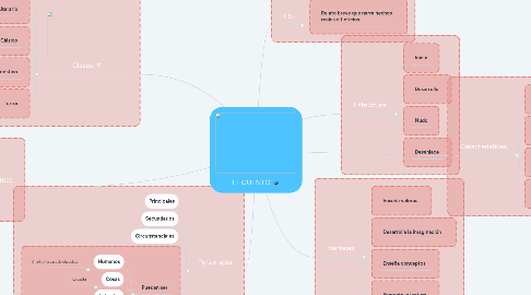 Mind Map: EL CUENTO