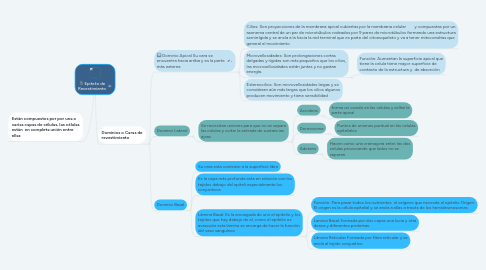 Mind Map: Epitelio de Revestimiento