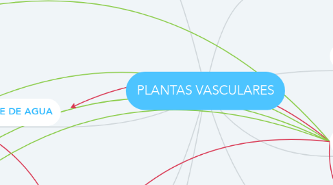 Mind Map: PLANTAS VASCULARES