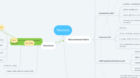 Mind Map: Neurons