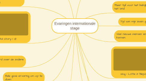 Mind Map: Evaringen internationale stage
