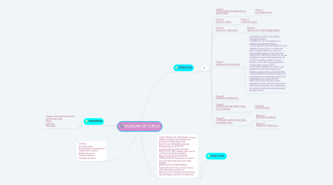 Mind Map: AUXILIAR DE VUELO