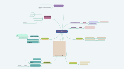 Mind Map: METODOLOGÍA GENERAL AJUSTADA (MGA)