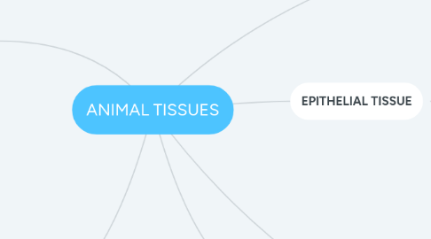 Mind Map: ANIMAL TISSUES