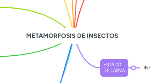 Mind Map: ESTADO