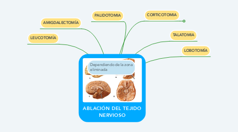 Mind Map: ABLACIÓN DEL TEJIDO NERVIOSO