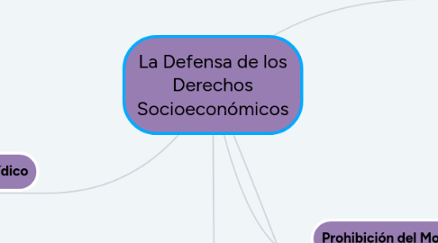 Mind Map: La Defensa de los Derechos Socioeconómicos