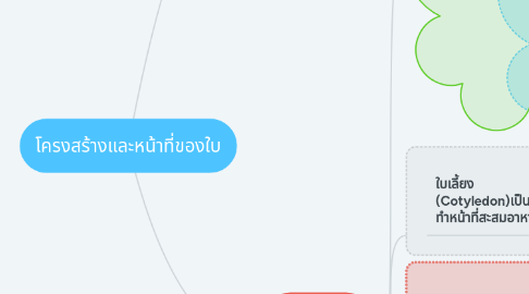 Mind Map: โครงสร้างและหน้าที่ของใบ