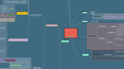 Mind Map: BILINGÜISMO