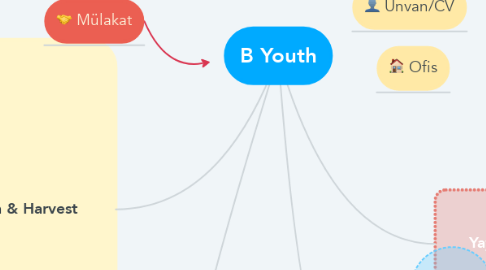 Mind Map: B Youth